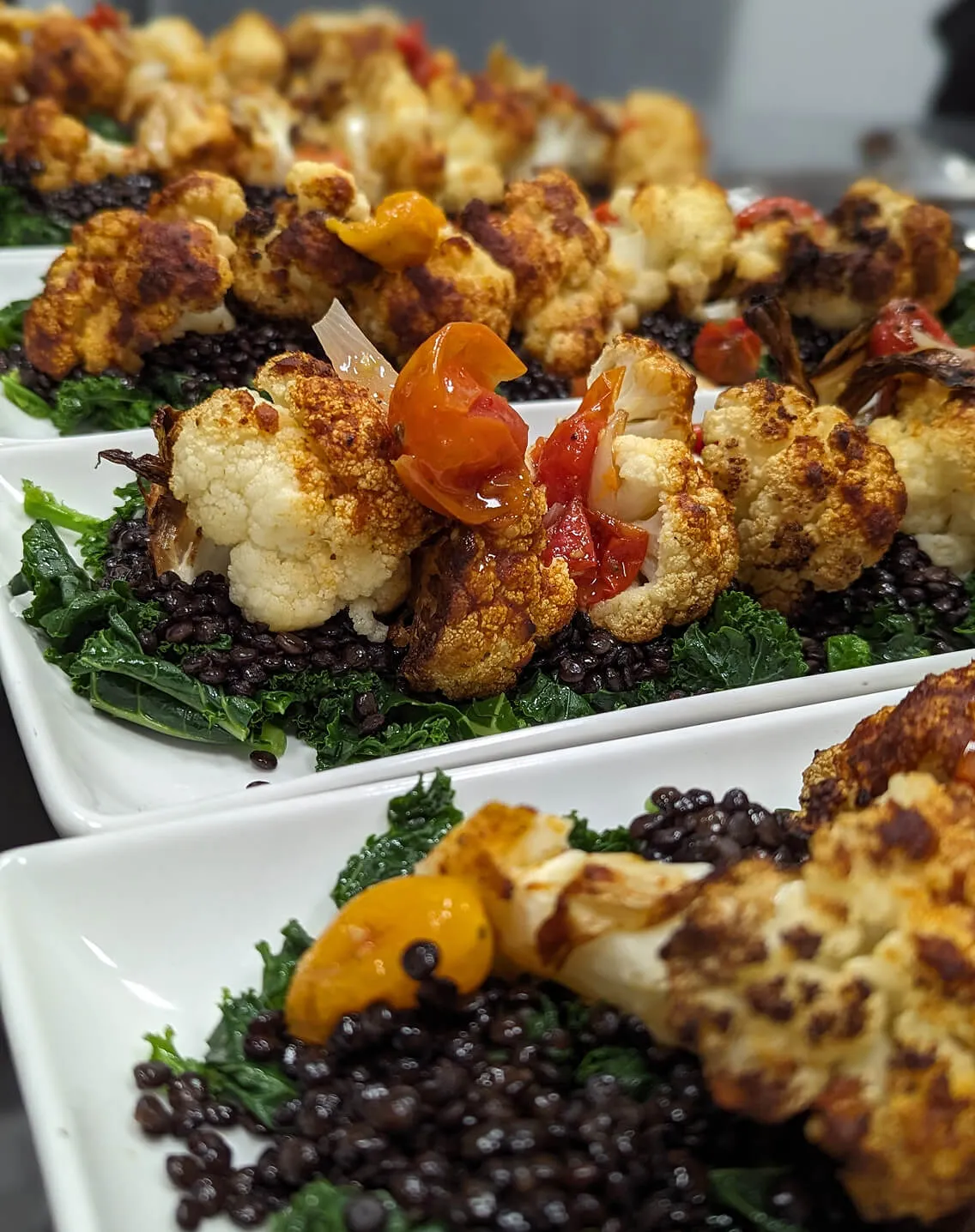 Row of plated roasted cauliflower over kale and lentils with cherry tomatoes