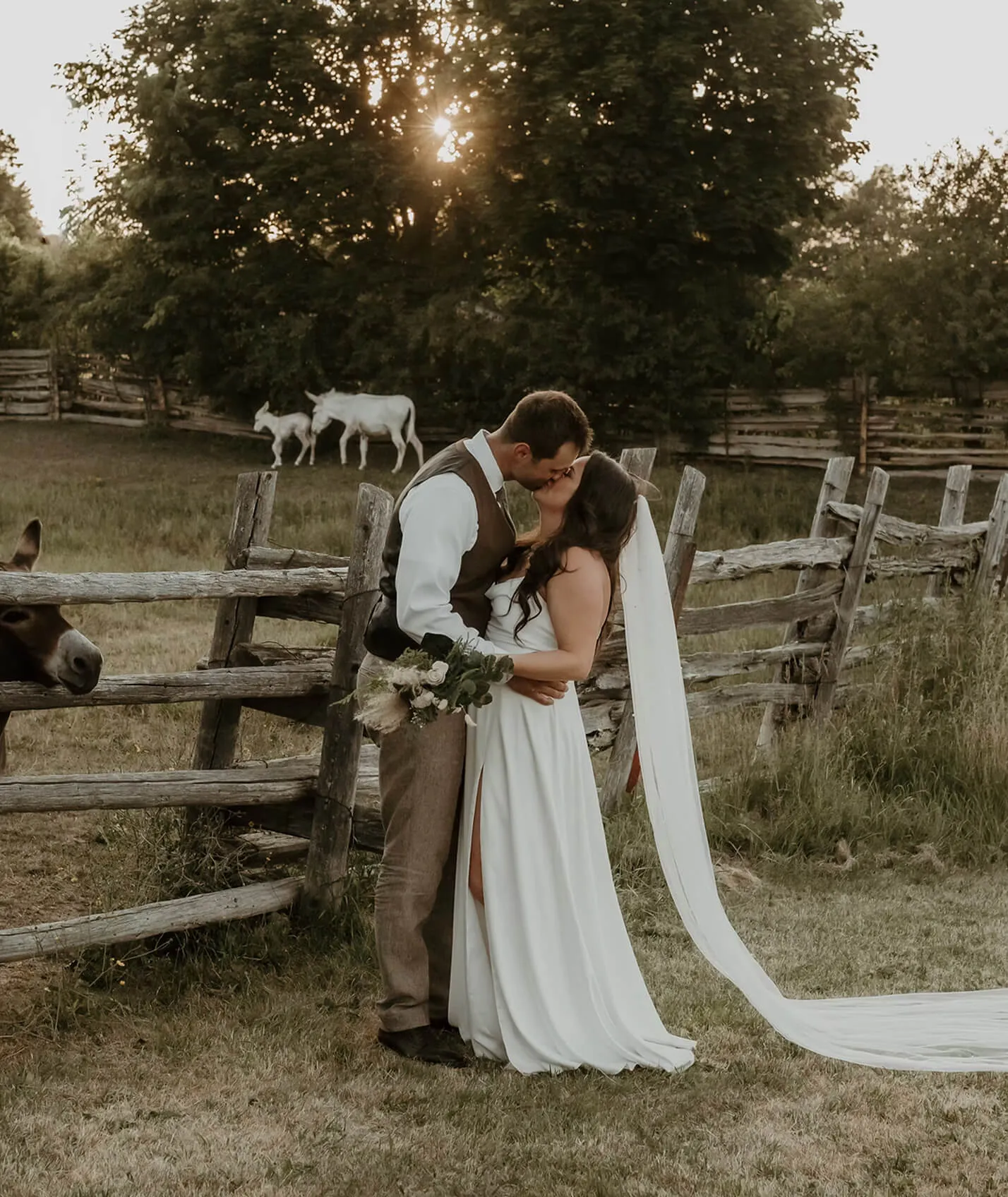 Country Heritage Park venue photo 1