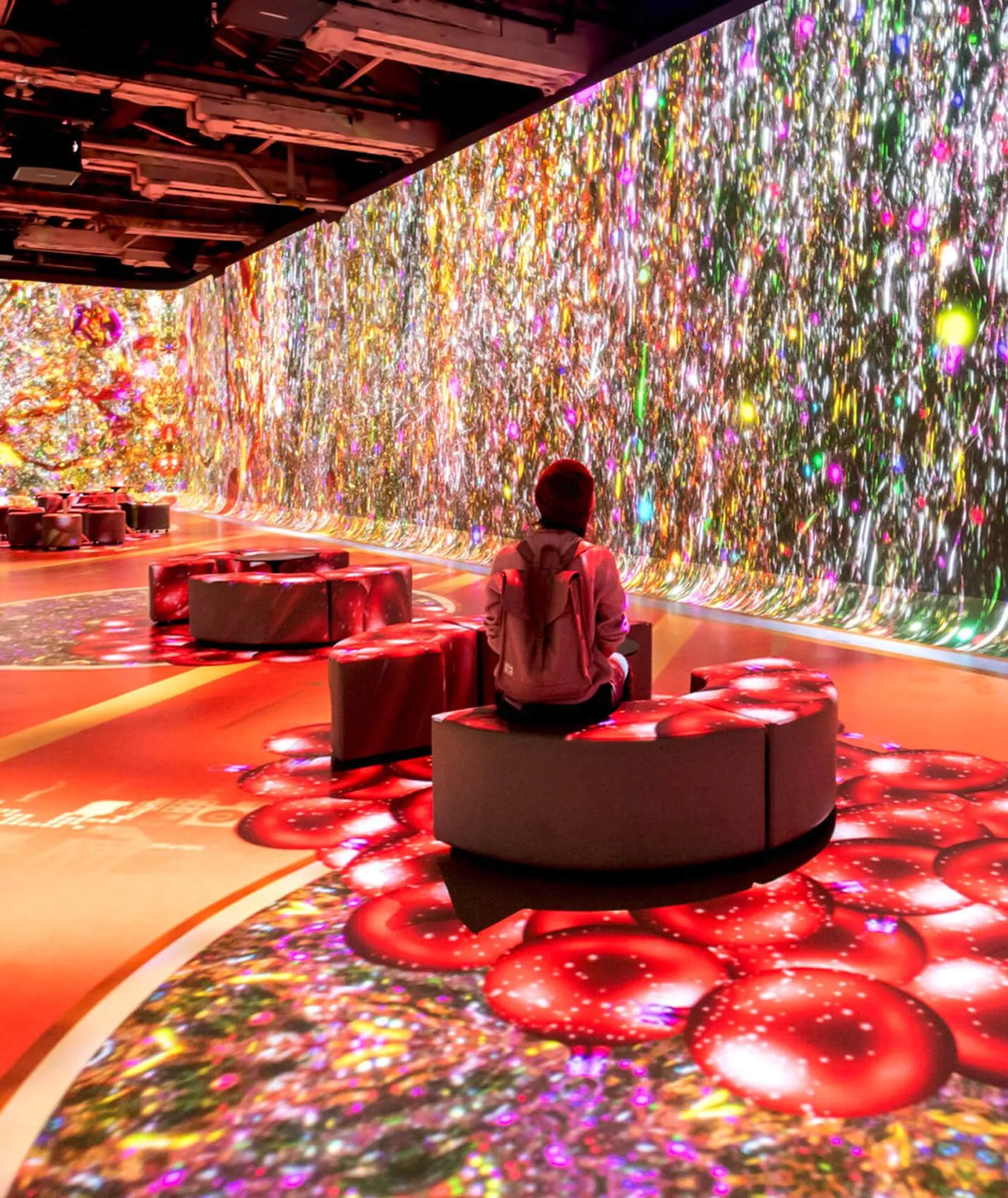 Illuminarium venue photo 2