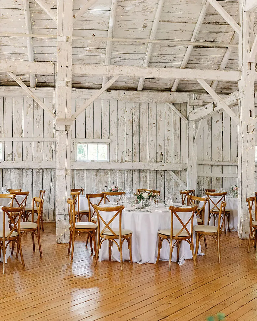 Guests celebrating at a catered wedding reception